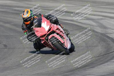 media/Nov-16-2025-Race Pace (Sun) [[8c5fa54630]]/Verified Riders/1-Turns 9 and 10 (925am)/